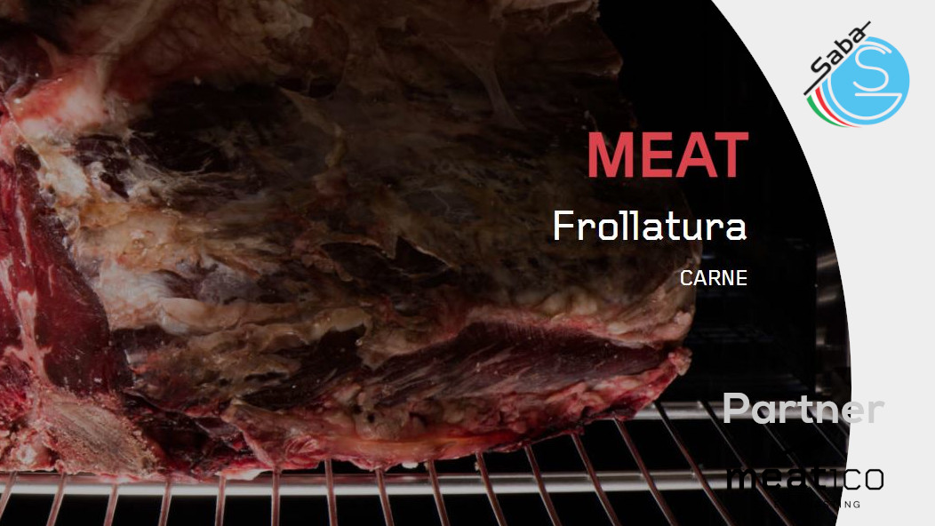 PRODOTTO/I: Frollatore carne MEATico BY EVERLASTING