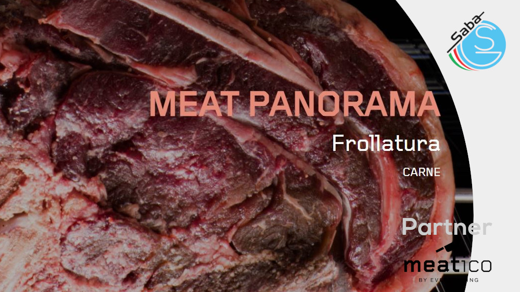 PRODOTTO/I: Frollatore carne MEAT PANORAMA BY EVERLASTING