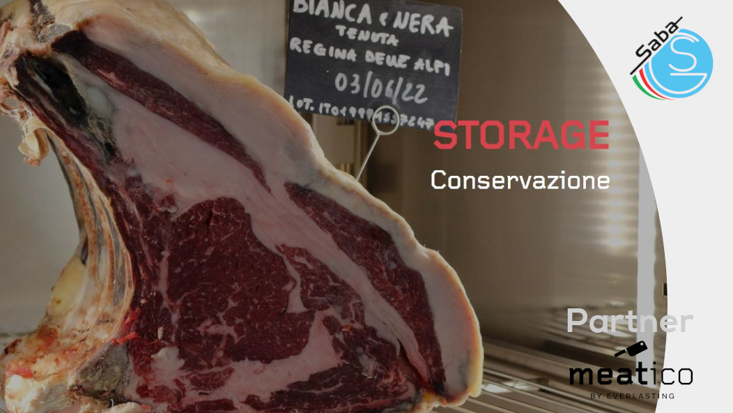 PRODOTTO/I: Conservatore carne STORAGE BY EVERLASTING