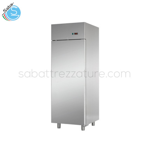 Armadio refrigerato 600 0/+10 °C 1 porta - Capacità: Lt 600 - Dimensioni: cm 71x70x203/210H - Peso: Kg 100 - Alimentazione: 230 V, 50 Hz  - Assorbimento: W 385